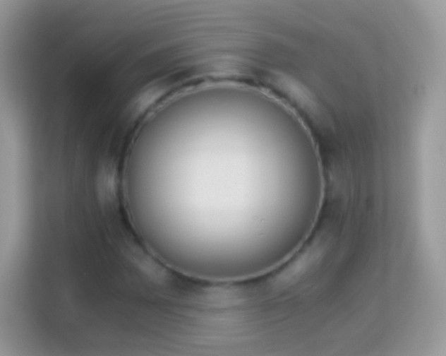 X0000114011065200910091419