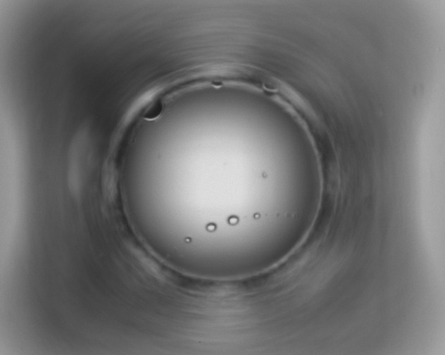 X0000114011067200910091419