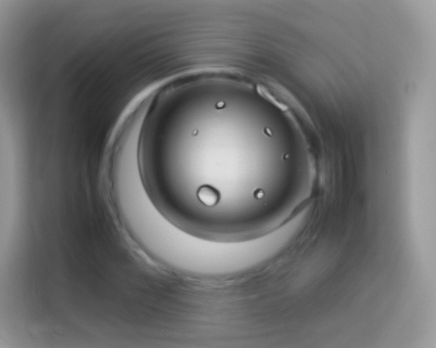 X0000114011068200910091419