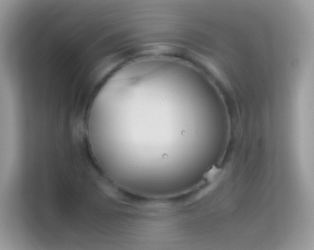 X0000114011073200910091419