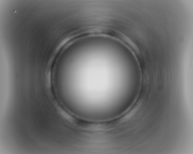 X0000114011075200910091419