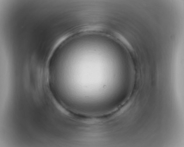 X0000114011079200910091419