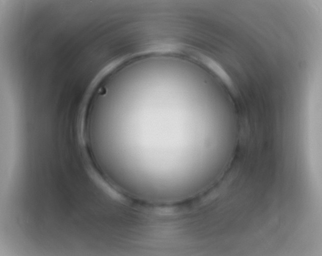 X0000114011080200910091419