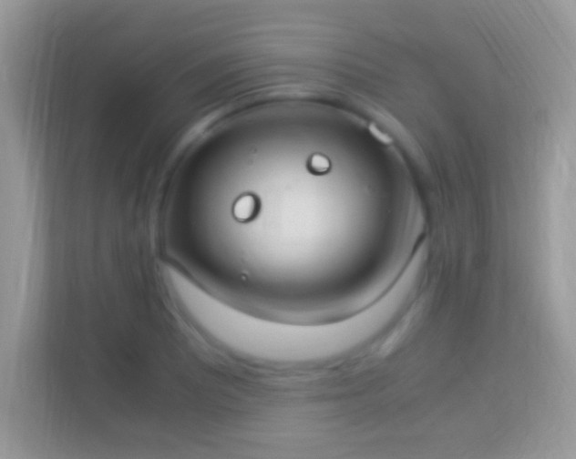 X0000114011081200910091419
