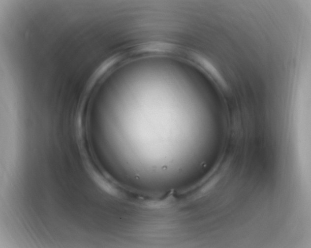 X0000114011082200910091419