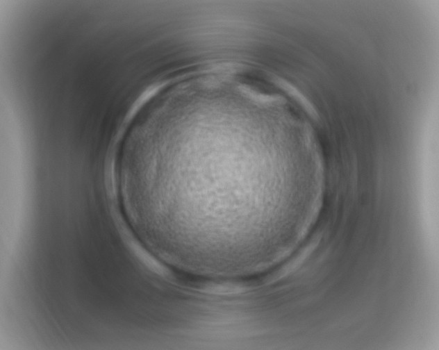 X0000114011083200910091419