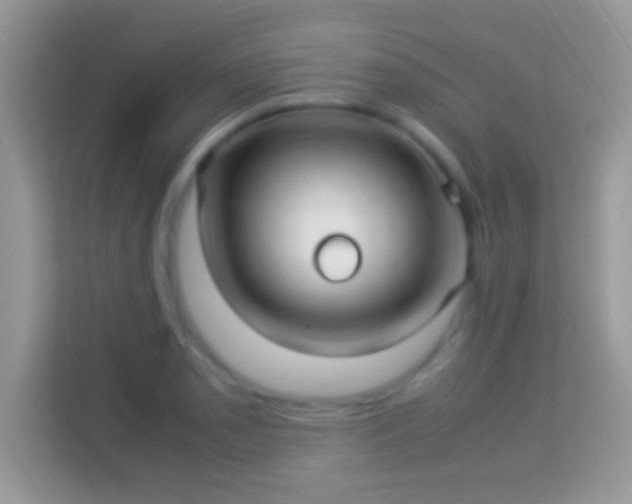 X0000114011085200910091419