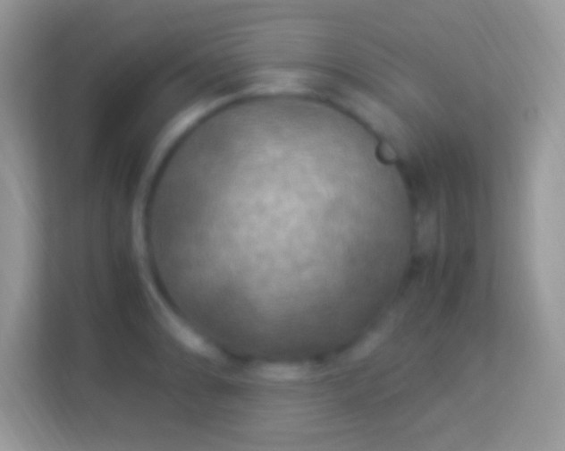 X0000114011086200910091419