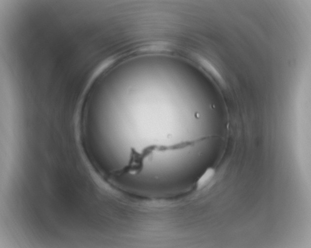 X0000114011087200910091419