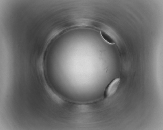 X0000114011088200910091419