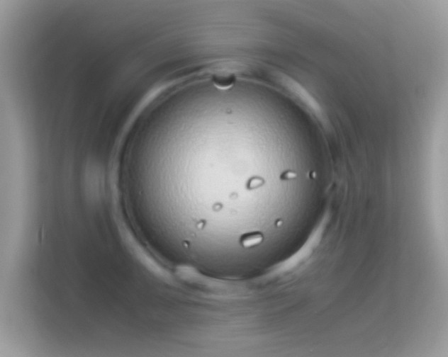 X0000114011091200910091419