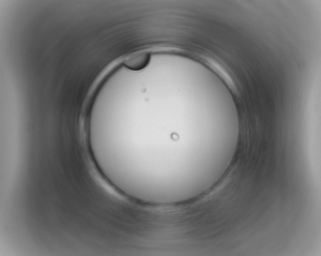 X0000114011092200910091419