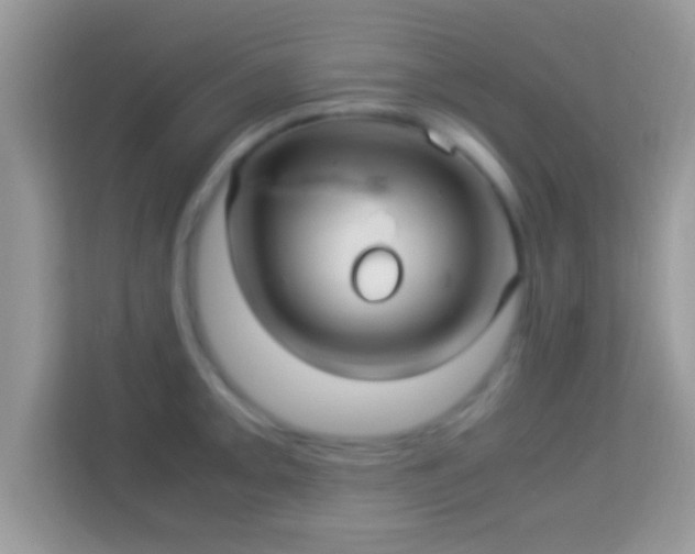 X0000114011093200910091419