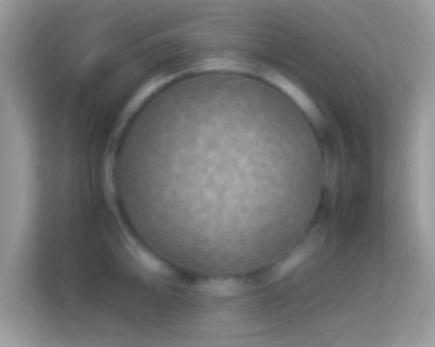 X0000114011094200910091419