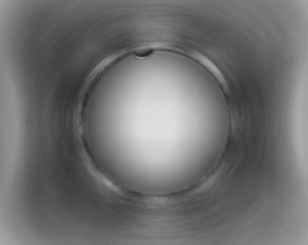 X0000114011096200910091419
