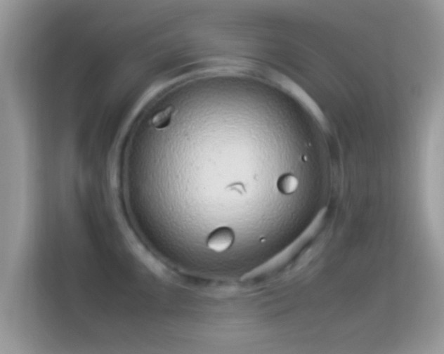 X0000114011099200910091419