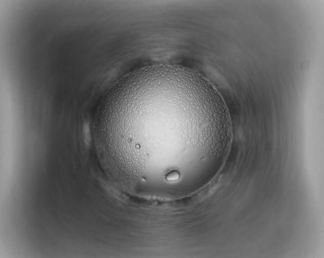 X0000114011106200910091418