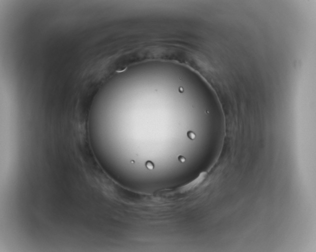 X0000114011109200910091418