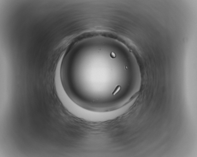 X0000114011110200910091418