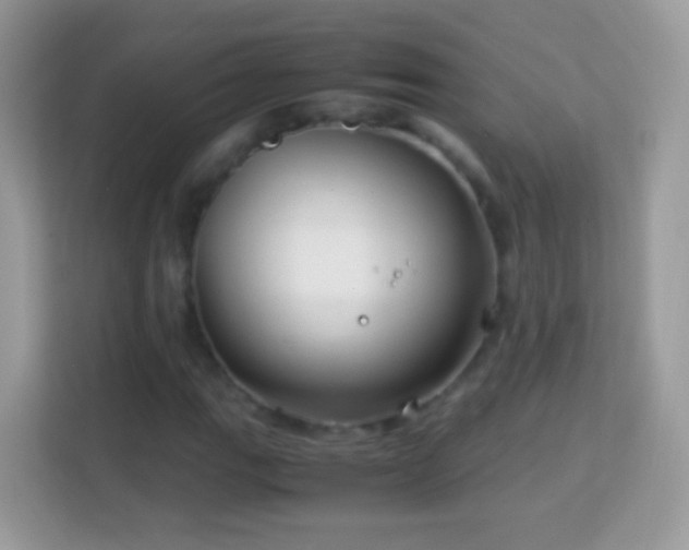 X0000114011111200910091418