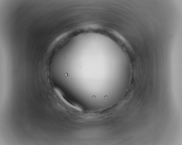 X0000114011112200910091418