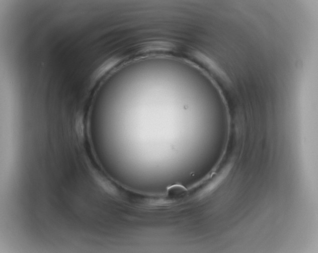 X0000114011113200910091418