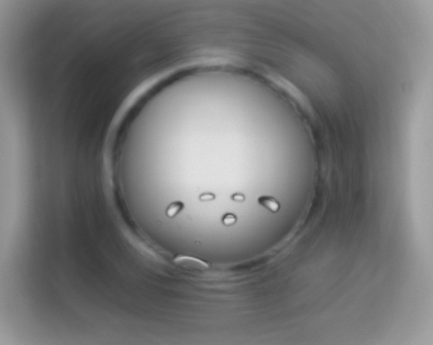 X0000114011120200910091418