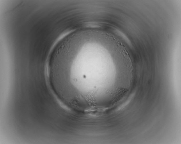 X0000114011125200910091418