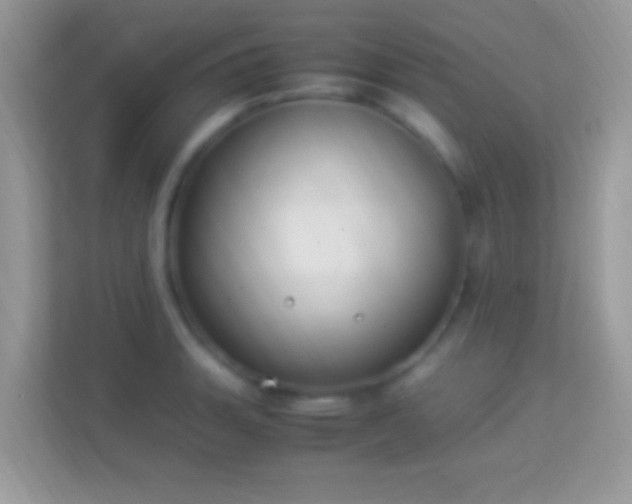X0000114011135200910091418