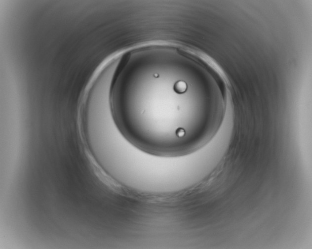 X0000114011148200910091418