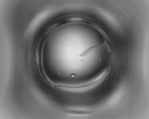 X0000114011151200910091418