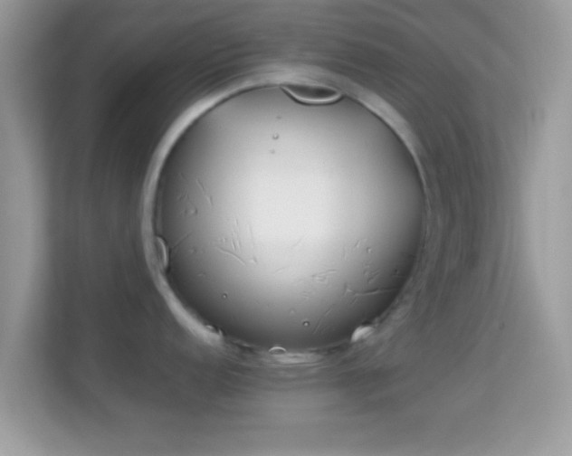 X0000114011152200910091418