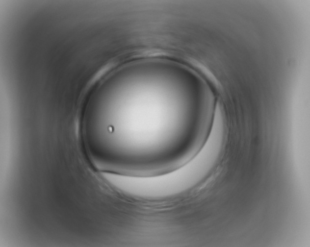 X0000114011173200910091418