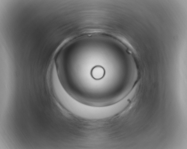 X0000114011181200910091417