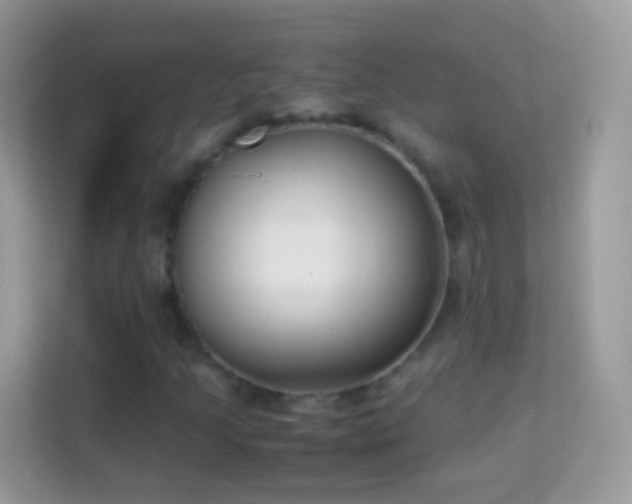X0000114011205200910091417