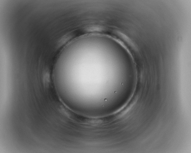 X0000114011209200910091417