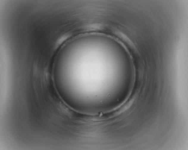 X0000114011210200910091417