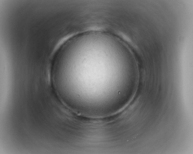 X0000114011214200910091417