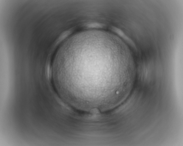 X0000114011221200910091417