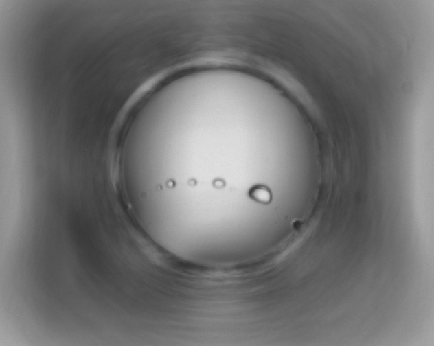 X0000114011224200910091417