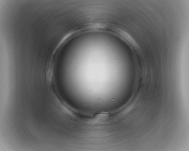 X0000114011228200910091417