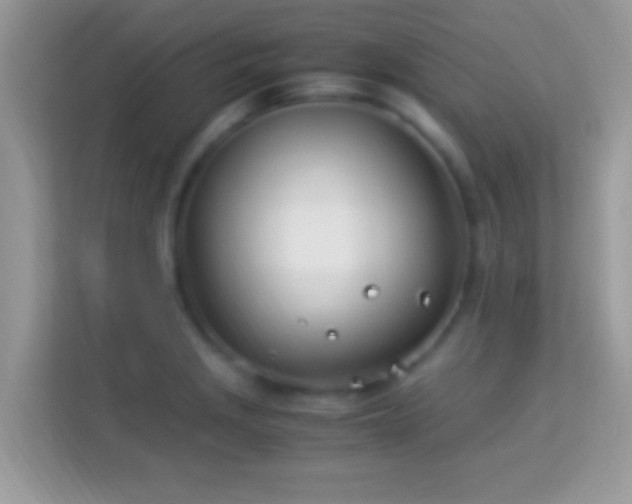 X0000114011229200910091417