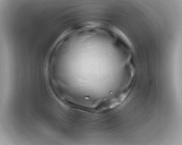 X0000114011235200910091417