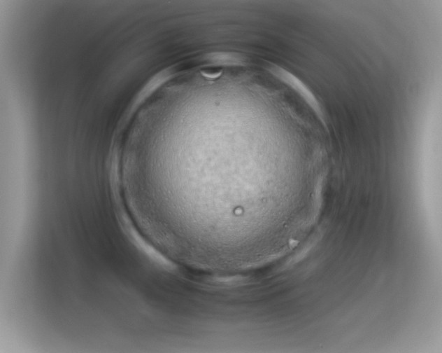 X0000114011243200910091417