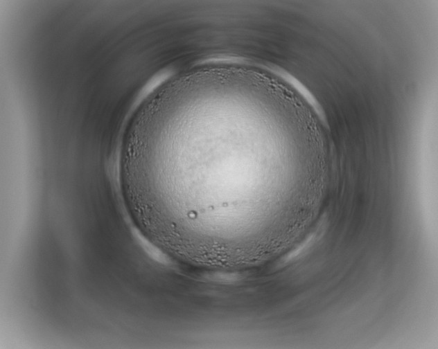X0000114011245200910091417