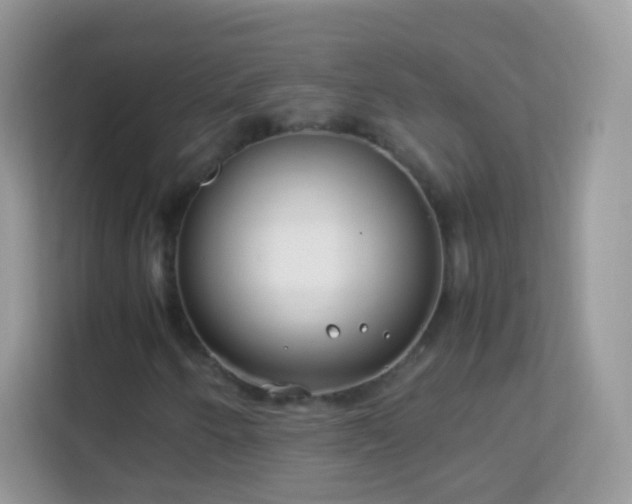 X0000114011250200910091417