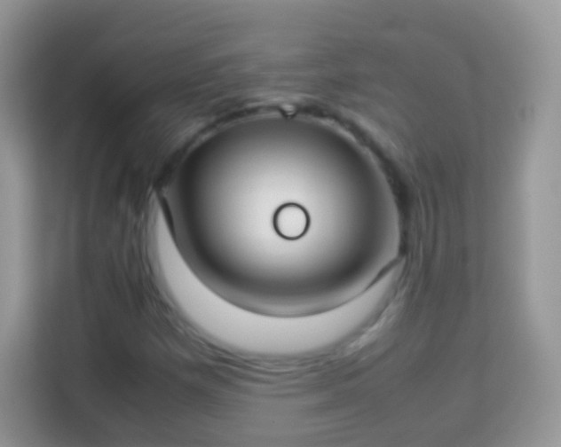 X0000114011257200910091416
