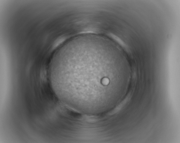 X0000114011258200910091416