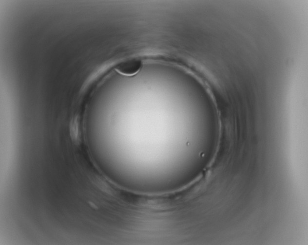 X0000114011262200910091416