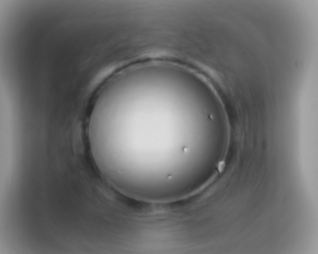 X0000114011263200910091416